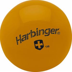2 lb. Weighted Fitness Ball